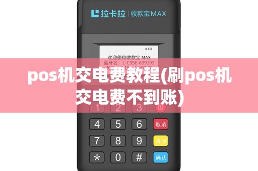pos机交电费教程(刷pos机交电费不到账)