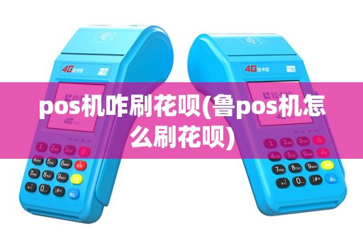 pos机咋刷花呗(鲁pos机怎么刷花呗)