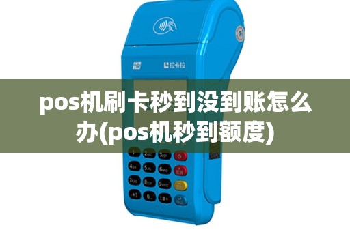 pos机刷卡秒到没到账怎么办(pos机秒到额度)