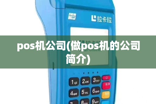 pos机公司(做pos机的公司简介)