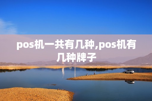 pos机一共有几种,pos机有几种牌子