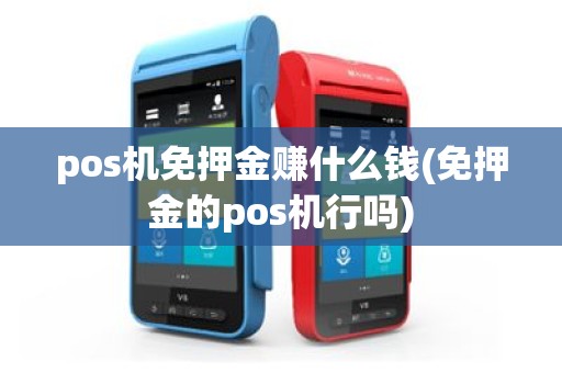 pos机免押金赚什么钱(免押金的pos机行吗)