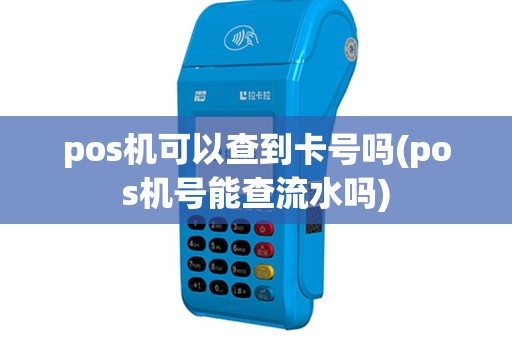 pos机可以查到卡号吗(pos机号能查流水吗)