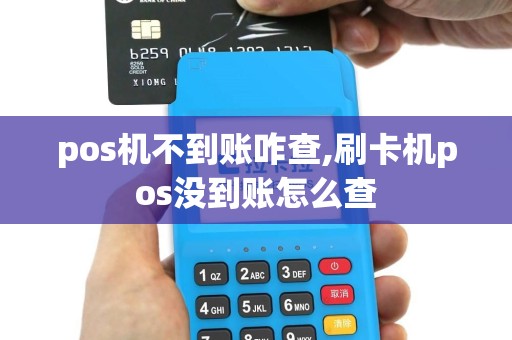 pos机不到账咋查,刷卡机pos没到账怎么查