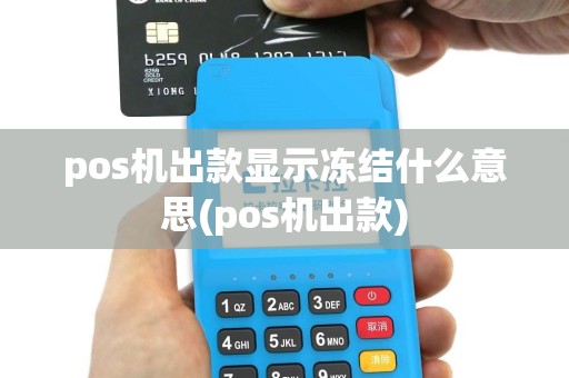 pos机出款显示冻结什么意思(pos机出款)