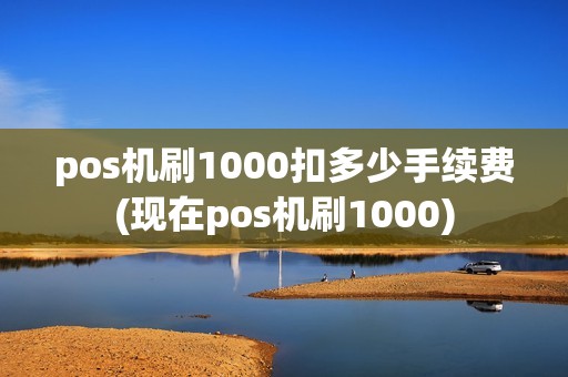 pos机刷1000扣多少手续费(现在pos机刷1000)