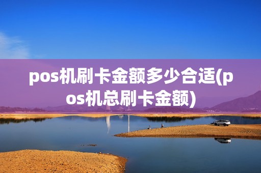 pos机刷卡金额多少合适(pos机总刷卡金额)