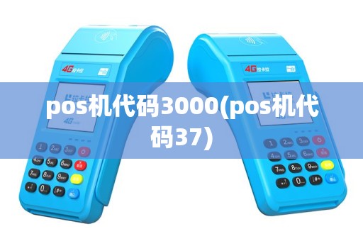 pos机代码3000(pos机代码37)