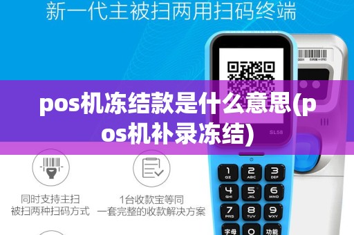 pos机冻结款是什么意思(pos机补录冻结)