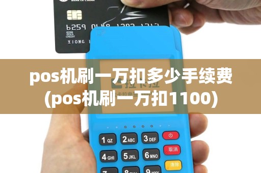pos机刷一万扣多少手续费(pos机刷一万扣1100)