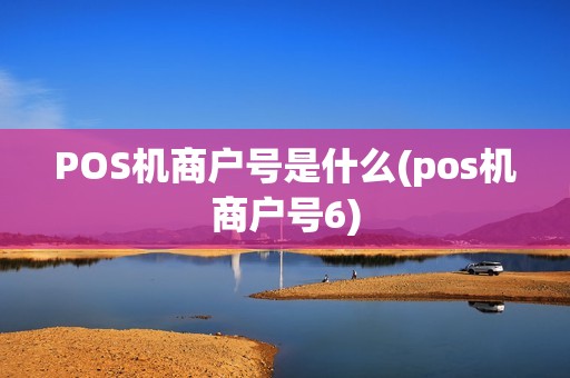 POS机商户号是什么(pos机商户号6)