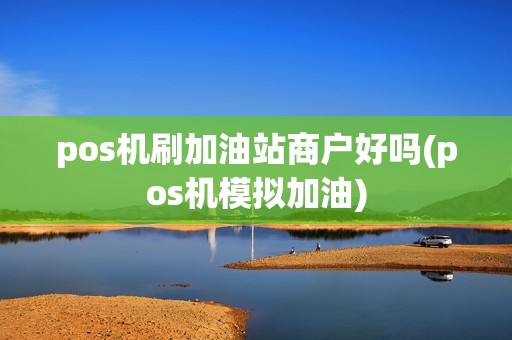 pos机刷加油站商户好吗(pos机模拟加油)