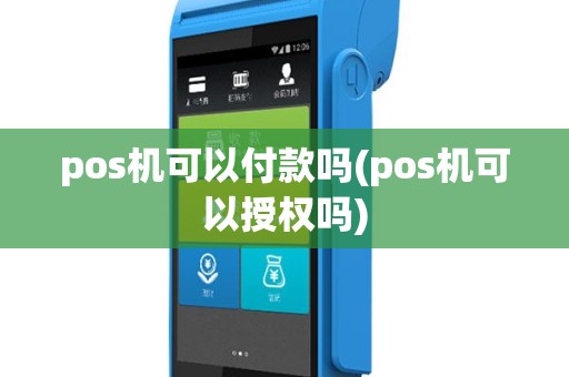 pos机可以付款吗(pos机可以授权吗)