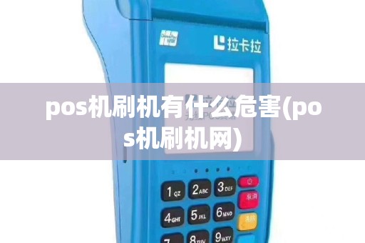 pos机刷机有什么危害(pos机刷机网)