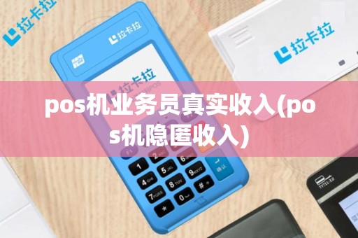 pos机业务员真实收入(pos机隐匿收入)