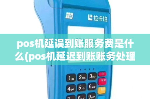 pos机延误到账服务费是什么(pos机延迟到账账务处理)
