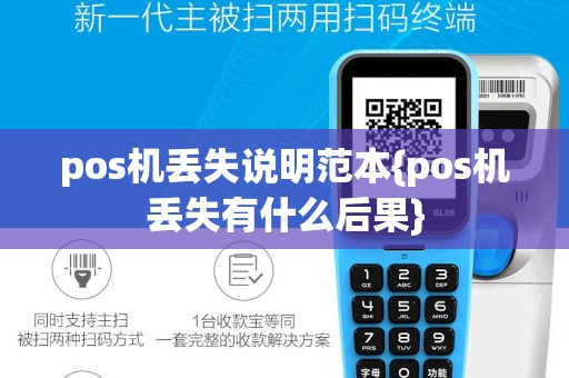 pos机丢失说明范本{pos机丢失有什么后果}