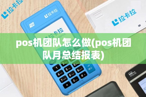pos机团队怎么做(pos机团队月总结报表)