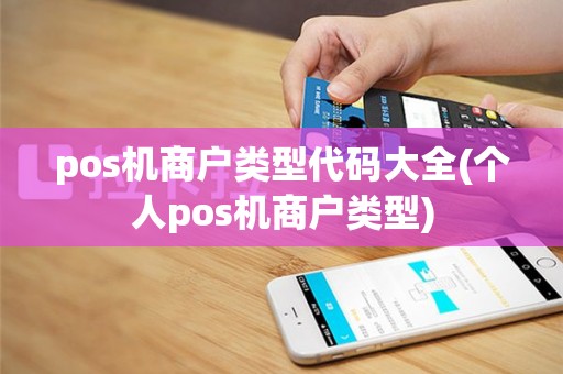 pos机商户类型代码大全(个人pos机商户类型)