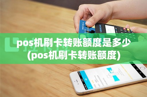 pos机刷卡转账额度是多少(pos机刷卡转账额度)