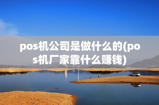 pos机公司是做什么的(pos机厂家靠什么赚钱)