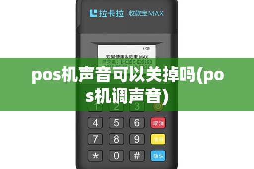 pos机声音可以关掉吗(pos机调声音)