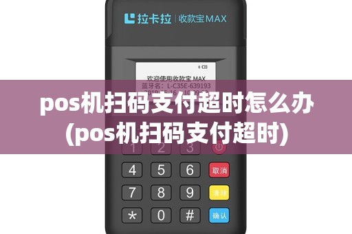 pos机扫码支付超时怎么办(pos机扫码支付超时)