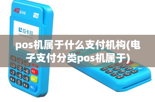 pos机属于什么支付机构(电子支付分类pos机属于)