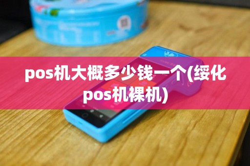 pos机大概多少钱一个(绥化pos机裸机)