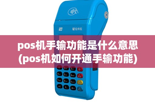 pos机手输功能是什么意思(pos机如何开通手输功能)