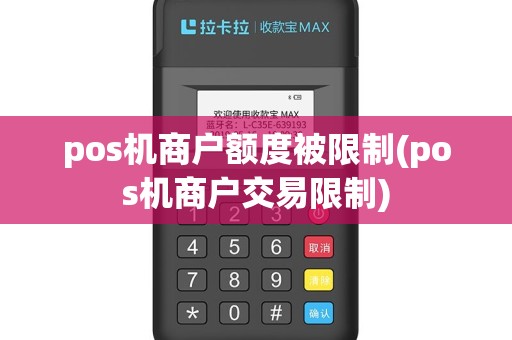 pos机商户额度被限制(pos机商户交易限制)