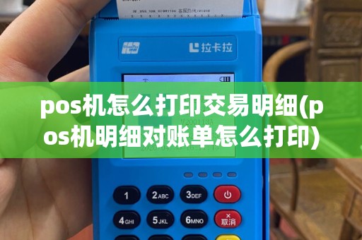 pos机怎么打印交易明细(pos机明细对账单怎么打印)