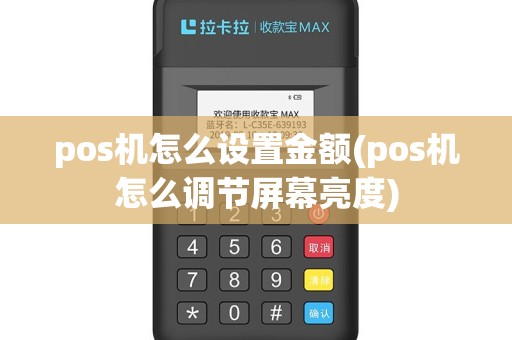 pos机怎么设置金额(pos机怎么调节屏幕亮度)