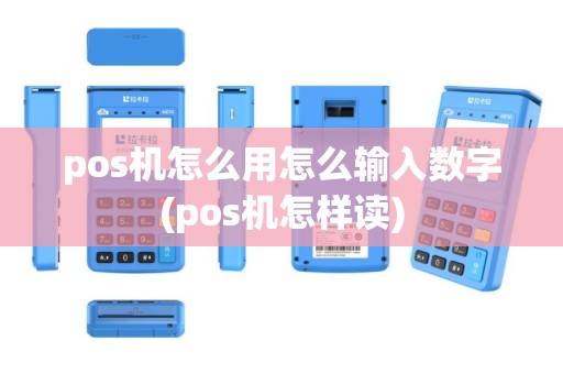 pos机怎么用怎么输入数字(pos机怎样读)