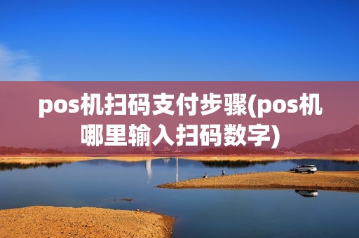 pos机扫码支付步骤(pos机哪里输入扫码数字)