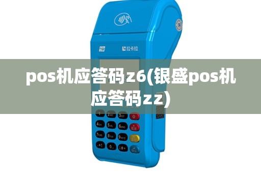pos机应答码z6(银盛pos机应答码zz)