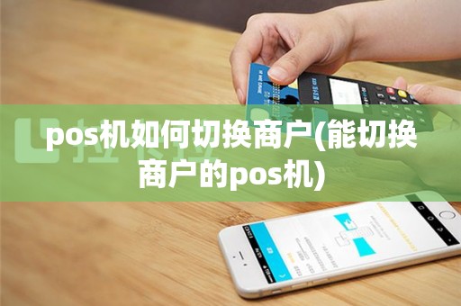 pos机如何切换商户(能切换商户的pos机)