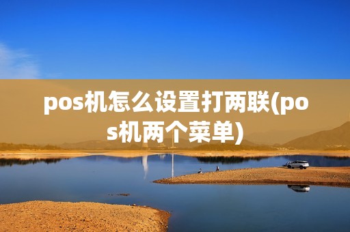 pos机怎么设置打两联(pos机两个菜单)