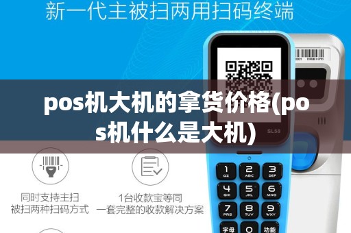 pos机大机的拿货价格(pos机什么是大机)