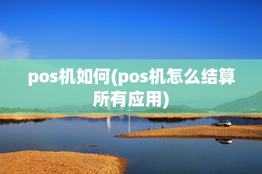pos机如何(pos机怎么结算所有应用)