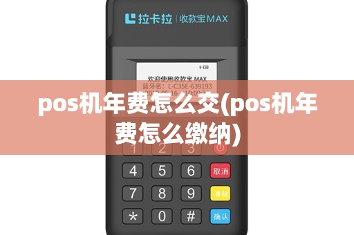 pos机年费怎么交(pos机年费怎么缴纳)