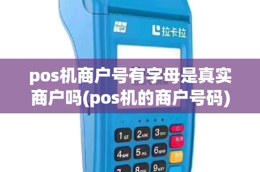 pos机商户号有字母是真实商户吗(pos机的商户号码)