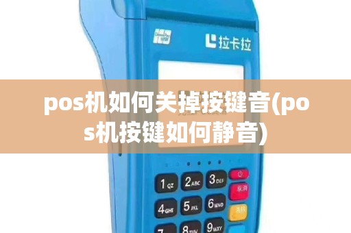 pos机如何关掉按键音(pos机按键如何静音)
