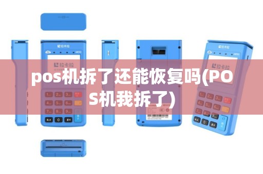 pos机拆了还能恢复吗(POS机我拆了)
