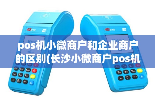 pos机小微商户和企业商户的区别(长沙小微商户pos机办理)