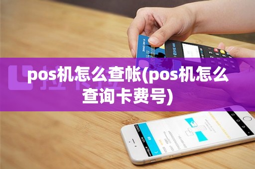 pos机怎么查帐(pos机怎么查询卡费号)