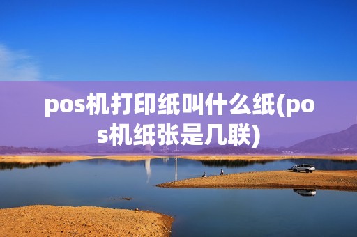 pos机打印纸叫什么纸(pos机纸张是几联)