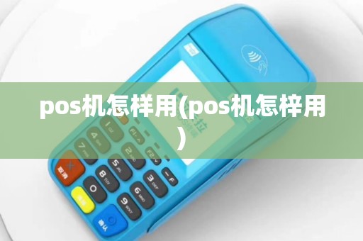 pos机怎样用(pos机怎梓用)