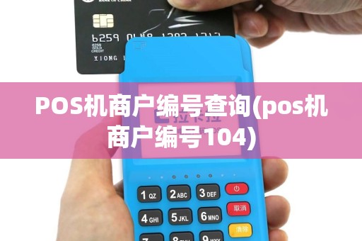 POS机商户编号查询(pos机商户编号104)