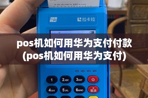 pos机如何用华为支付付款(pos机如何用华为支付)
